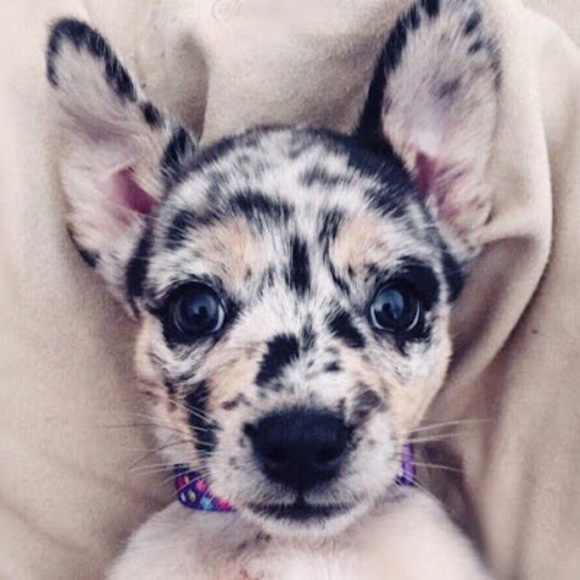 Meet your Posher, Stephanie - Picture 1 of 1